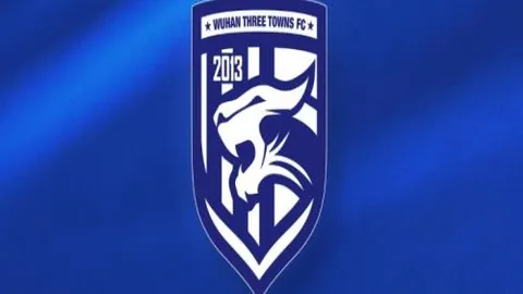 张本智和：妹妹成都混团世界杯首战获满分好评