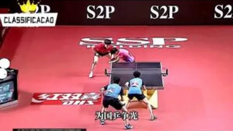 体育资质查询：体育节目聚焦中国体育风采