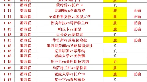 2025年足球盛宴奖项揭晓：哈兰德荣膺最佳球员，罗德里荣获最佳中场称号