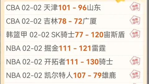 新葡京